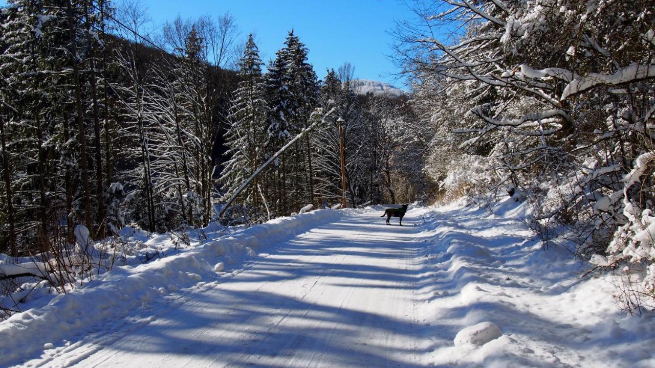 Fewo Talula - Sauerland Mit Hund Медебах Екстер'єр фото