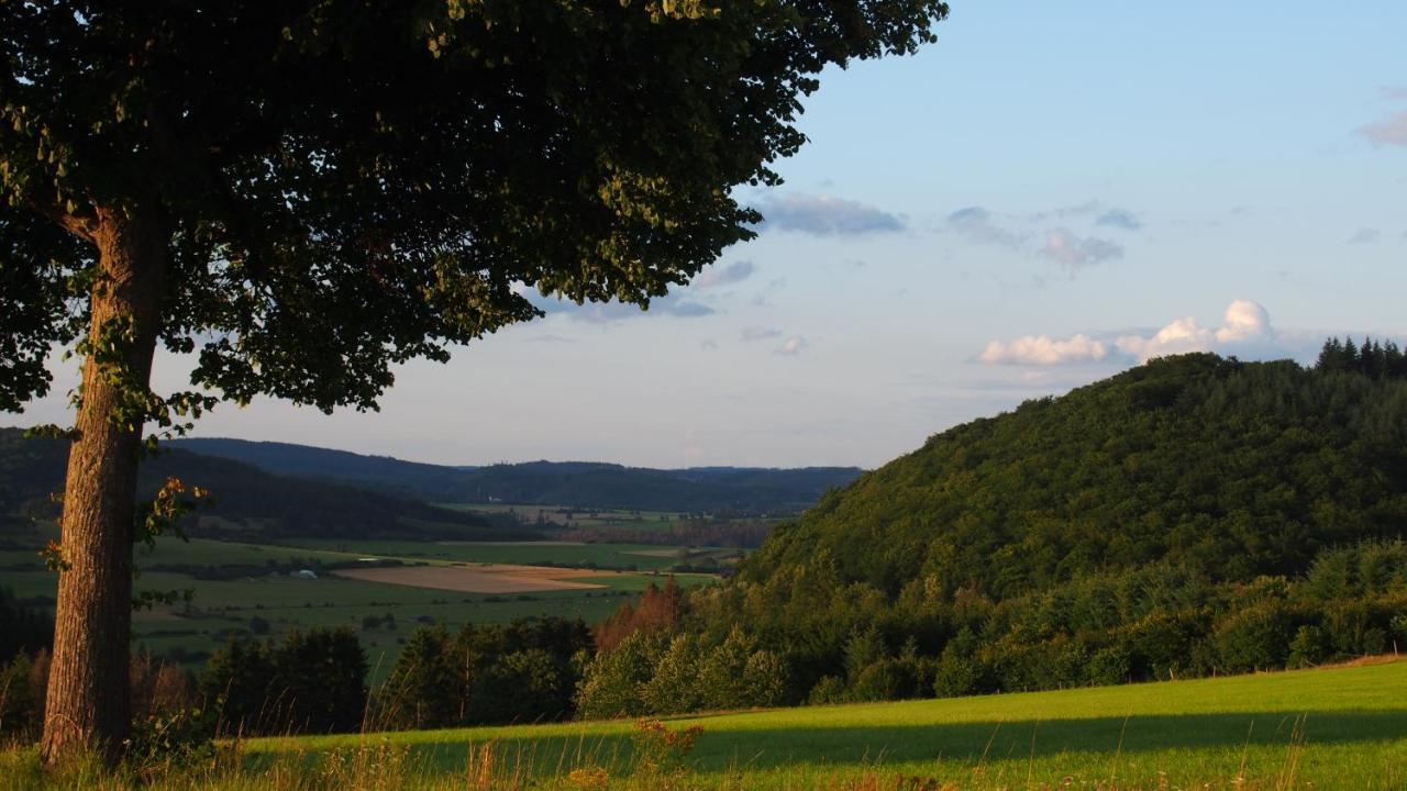 Fewo Talula - Sauerland Mit Hund Медебах Екстер'єр фото